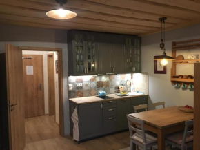Гостиница Apartmán u svahu Dolní Morava  Кралики